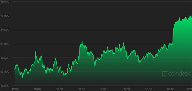 Il valore di Bitcoin e la sua variazione nelle ultime 24 ore (01/10/2021)