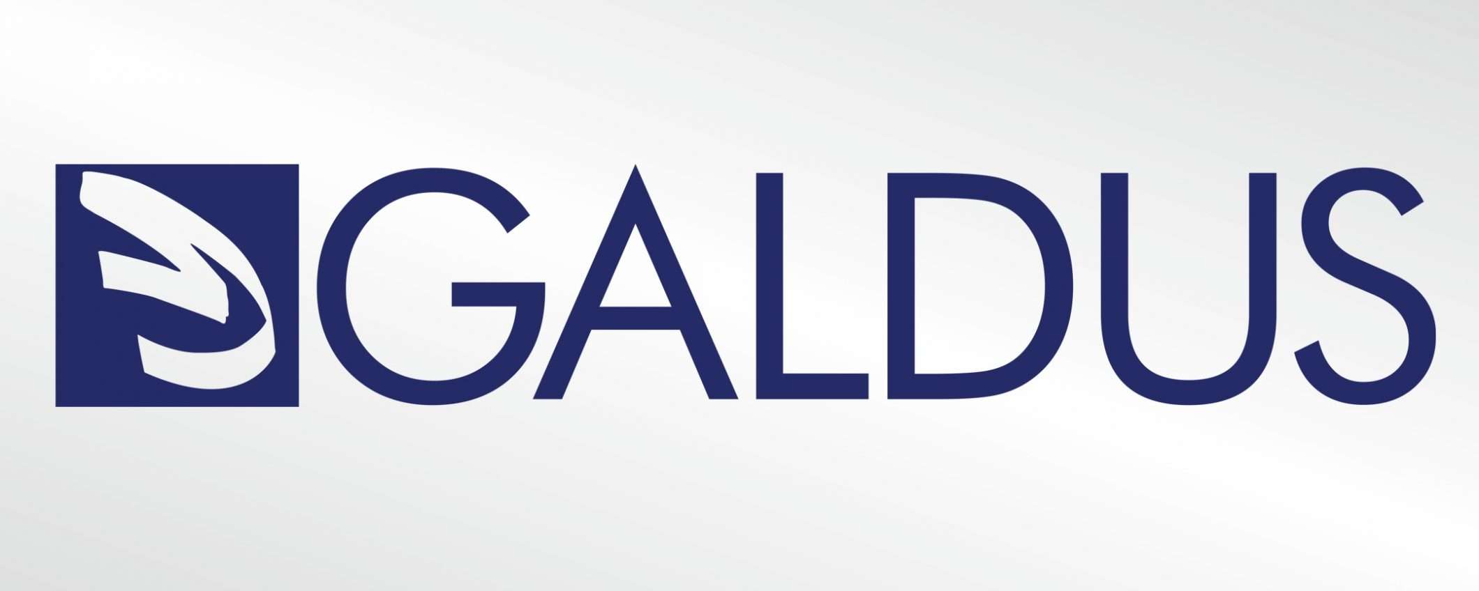 Galdus, dove la formazione incontra il mondo del lavoro