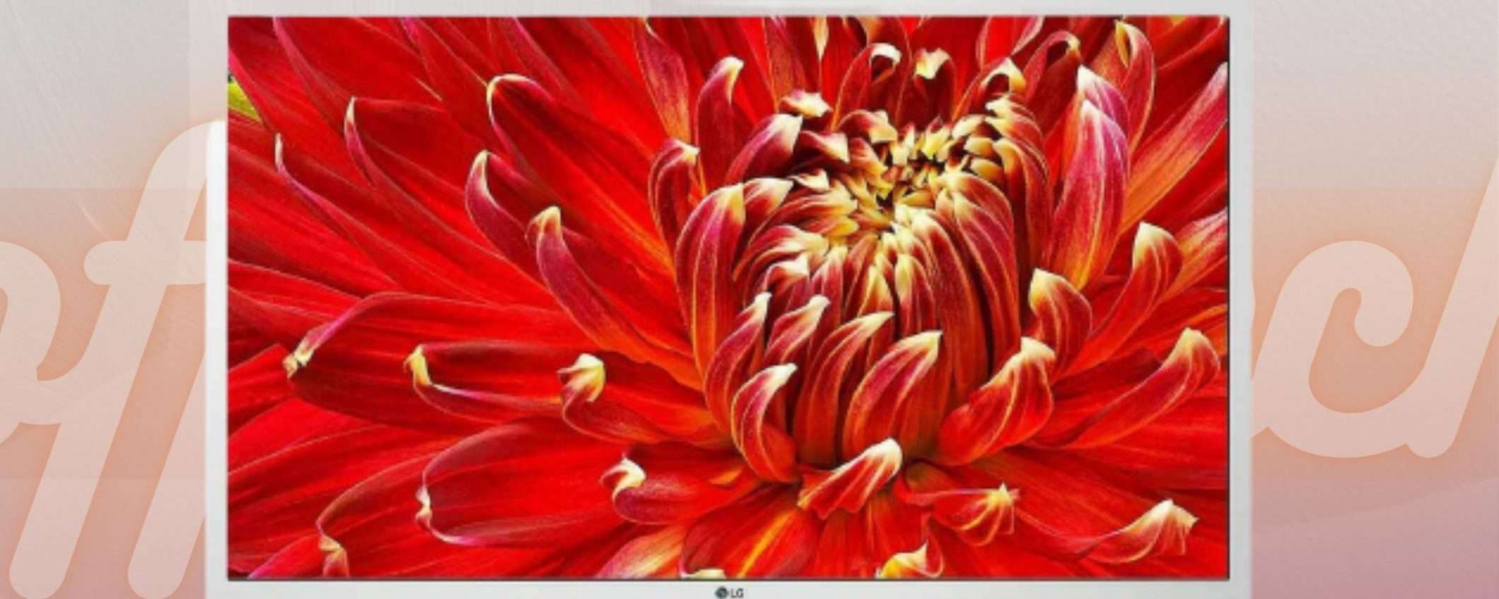 Smart TV da 32 pollici ad OTTIMO PREZZO su eBay: è LG