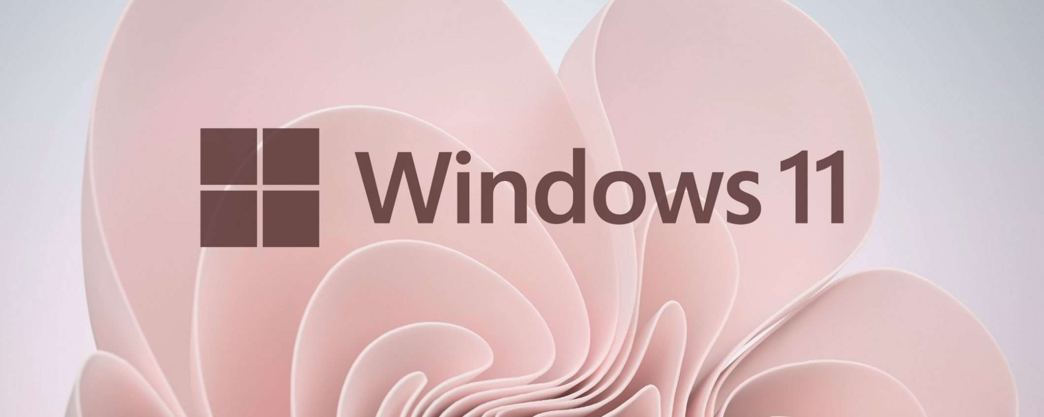 Windows 11: fix in arrivo per il memory leak