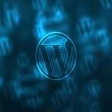 Allarme sicurezza per il plugin All in One SEO: cos'è successo?