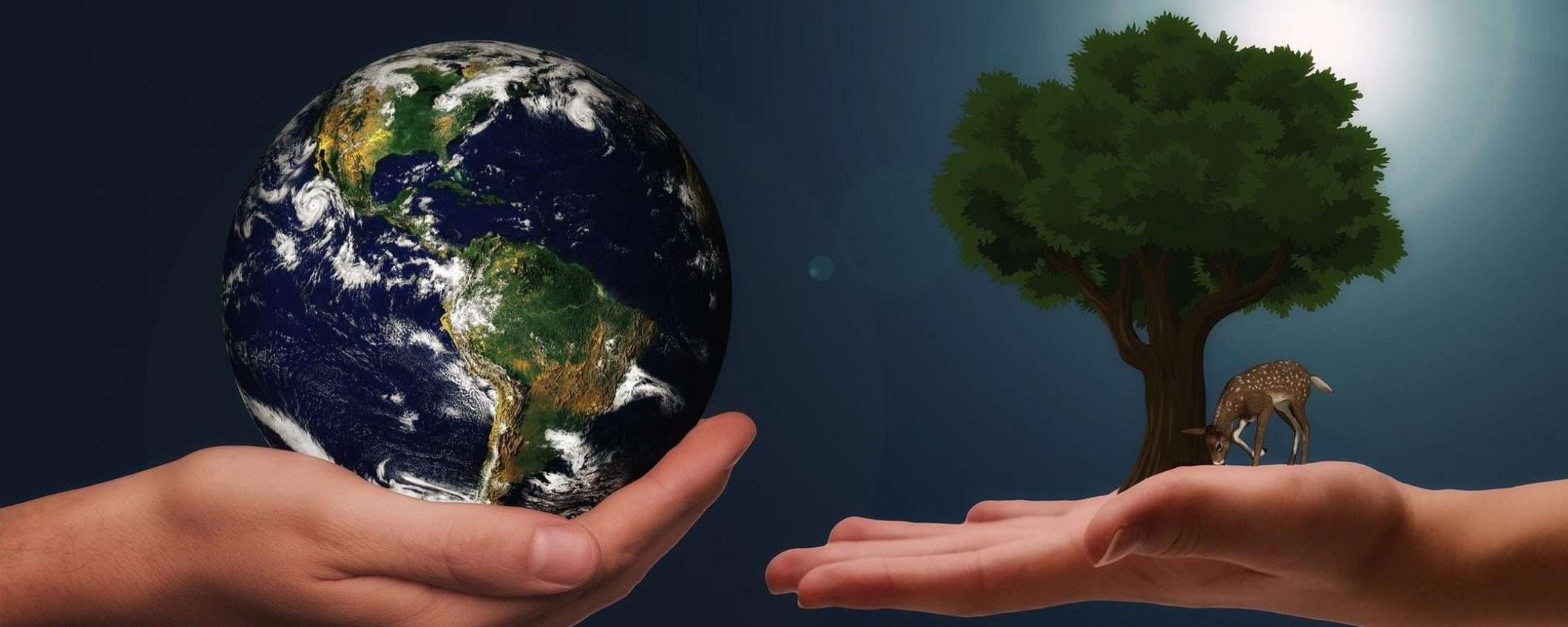 COP26: gli impegni di Meta per l'ambiente
