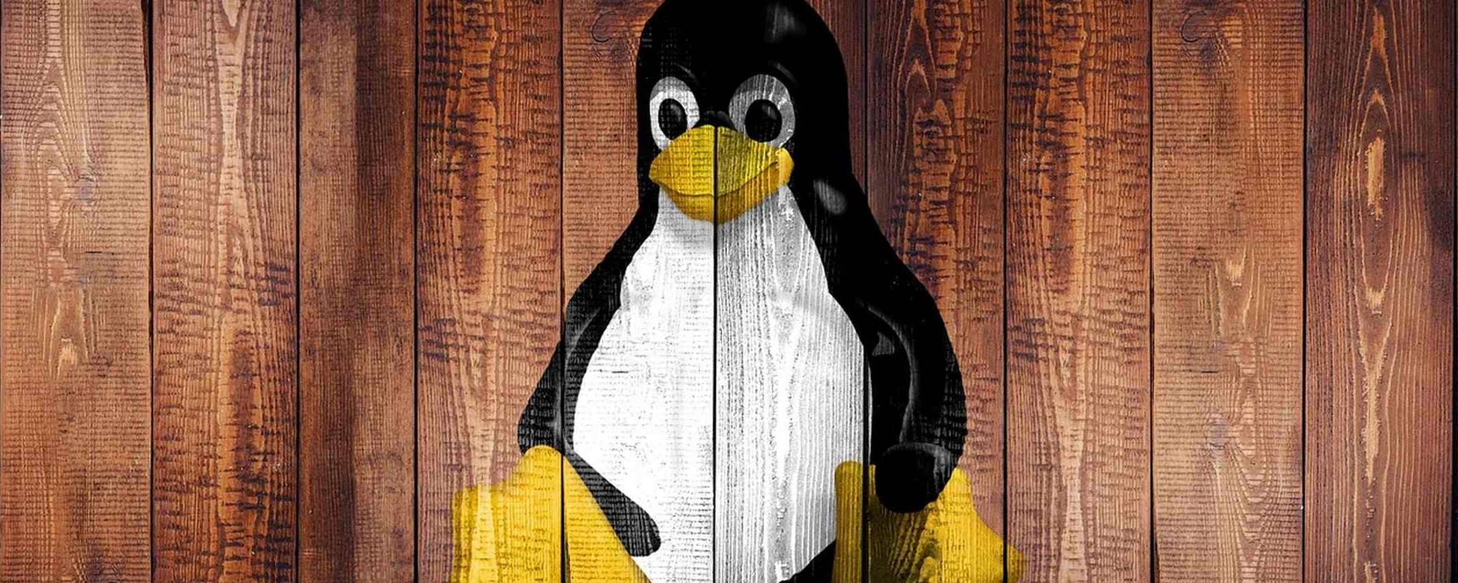 Malware Linux aumentato del 35% nel 2021