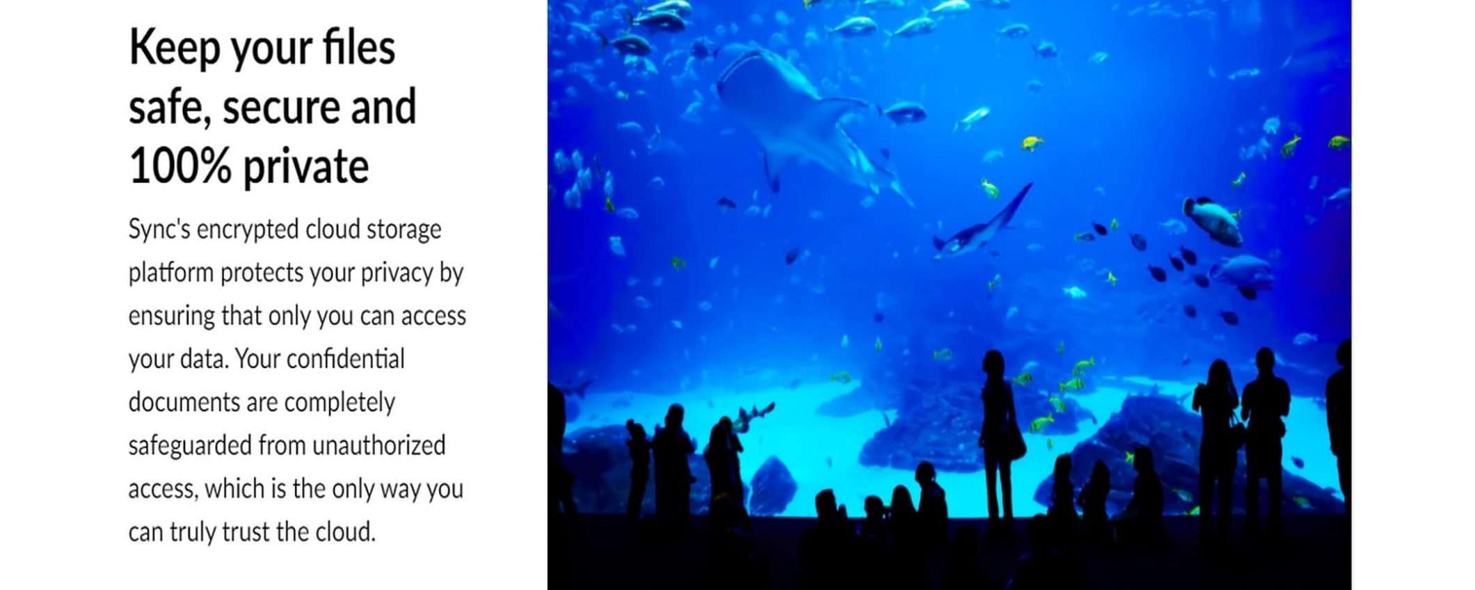 Sync Cloud: piano Solo Basic con 2 TB a 8 Dollari al mese