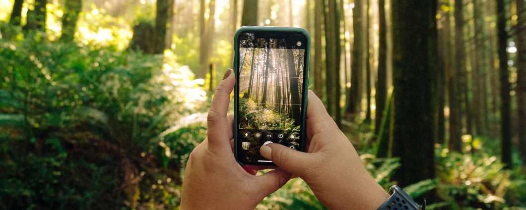 SnapSeed, la guida definitiva per foto da smartphone: sconto dell'85%