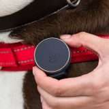 Vodafone Curve Pet, un tracker GPS per gli animali