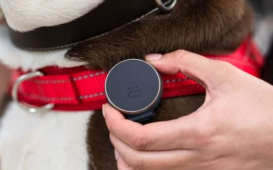 Vodafone Curve Pet, un tracker GPS per gli animali