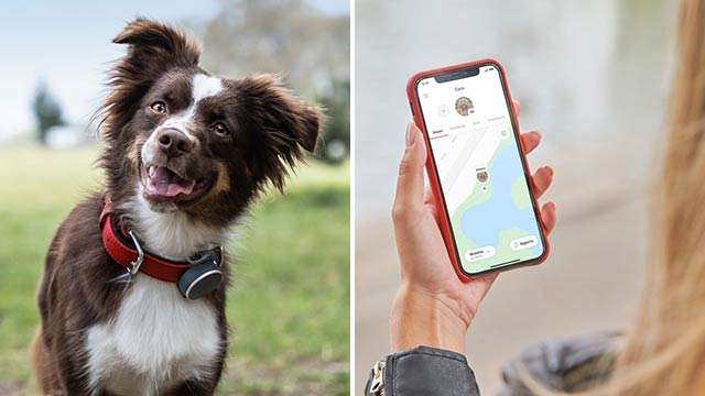 Vodafone Curve Pet: localizzatore GPS per animali