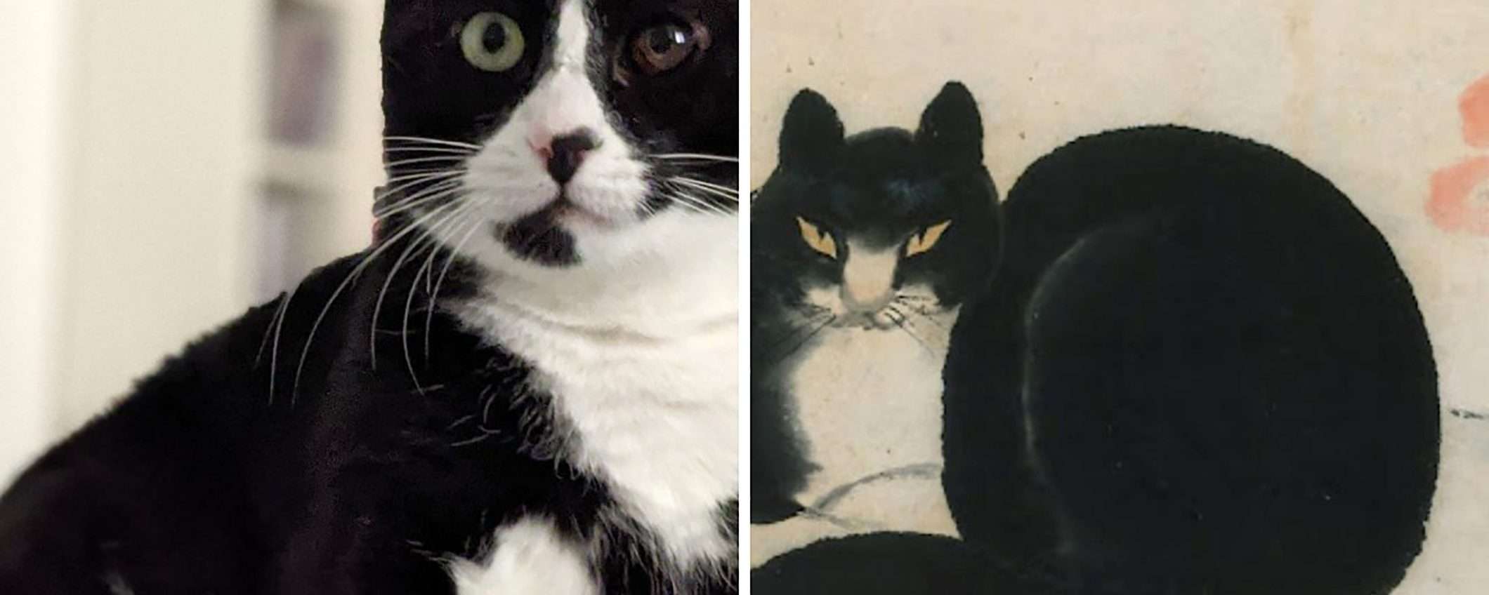 Trova il sosia del tuo animale nel mondo dell'arte