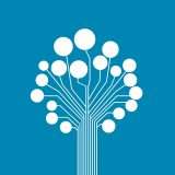 L'Italia delle startup: numeri in crescita, ma poche donne