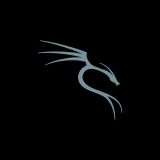 Ecco Kali Linux 2021.4: tra novità varie e migliorie