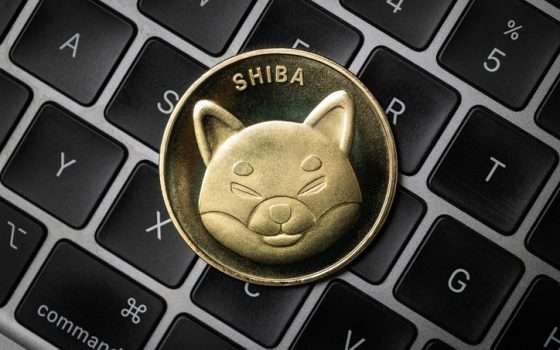 Shiba Inu coin