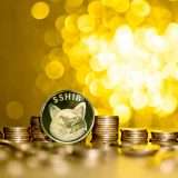 Shiba Inu Coin: come (dove) comprare e previsioni sulla cripto