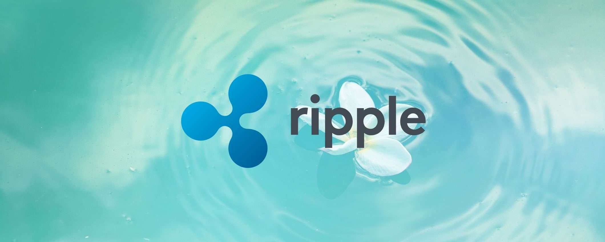 Ripple si prende una rivincita contro la SEC che non molla la presa