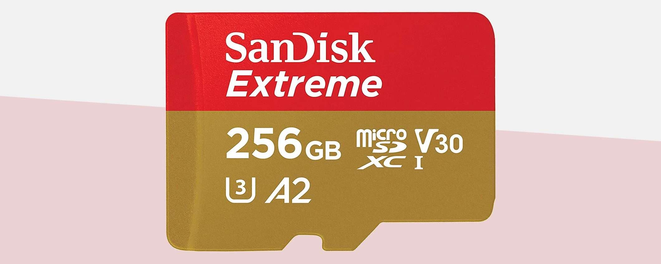 SanDisk Extreme: microSD 256 GB a metà prezzo