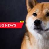 Shiba Inu inaugura il suo nuovo blog ufficiale