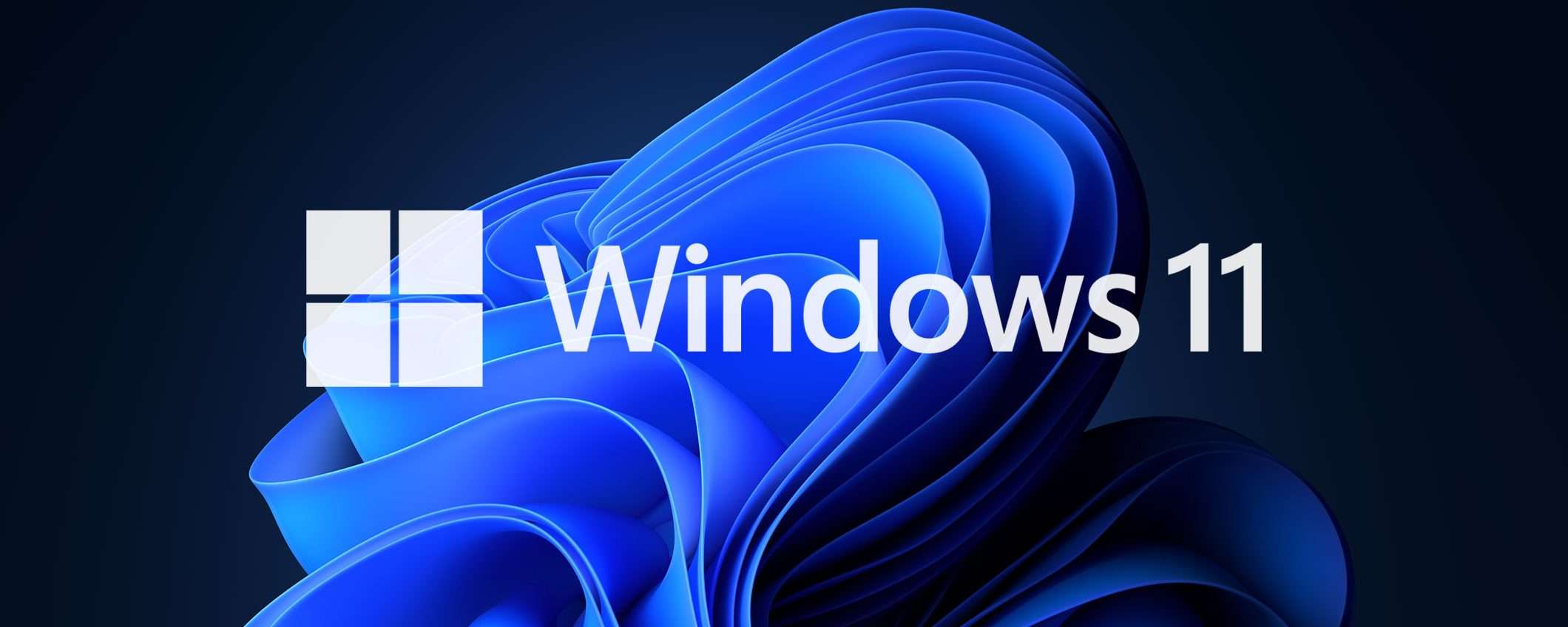 Windows 11: Microsoft distribuisce driver del 2006?