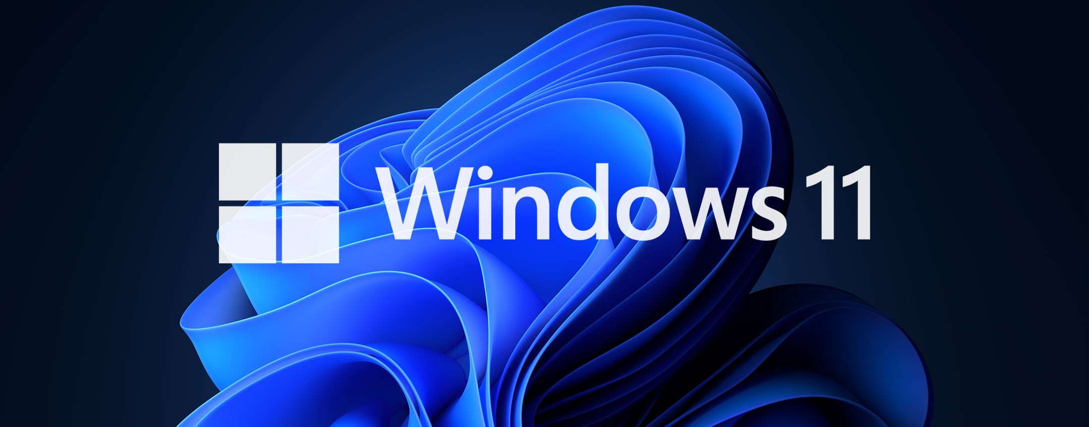 Windows 11: Microsoft conferma i problemi di color &hellip;