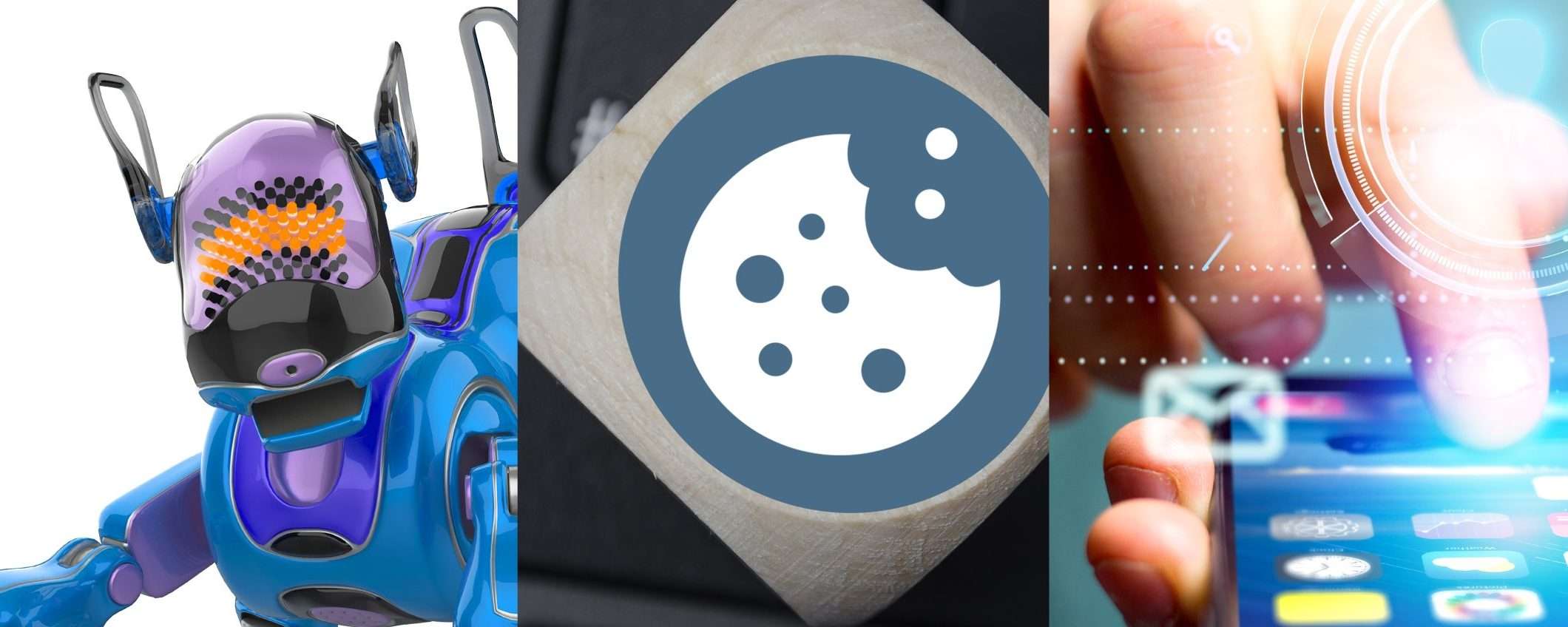 Garante Privacy: verifiche su cookie e app rubadati