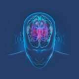 Il cervello riconosce le voci familiari nel sonno