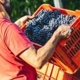 Il Click Day per l'ingresso dei lavoratori stranieri