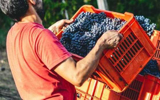 Il Click Day per l'ingresso dei lavoratori stranieri