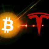 Che fine hanno fatto i Bitcoin di Tesla dopo il crollo delle crypto