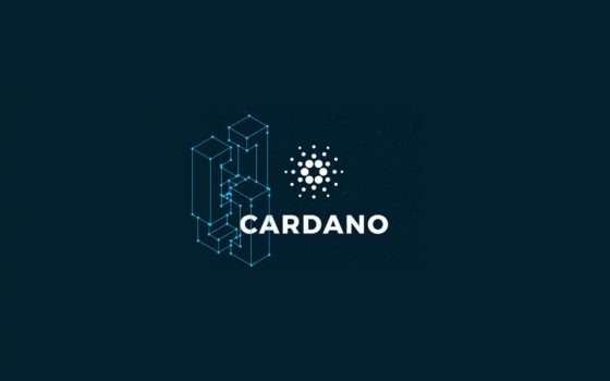 Cardano va forte e guadagna un altro buon 8%