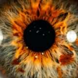 C'è un nuovo occhio bionico che restituisce la vista