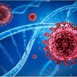 Covid-19: il contagio potrebbe riattivare retrovirus latenti