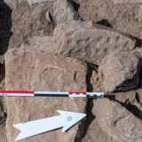 Trovato un gioco da tavolo di 4000 anni fa in Oman