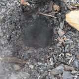 Australia: un incendio va avanti da più di 6000 anni