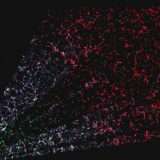 Creata la più grande mappa 3D dell'universo