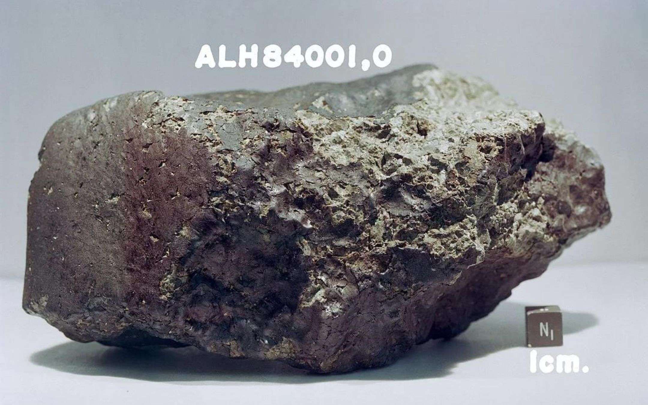 meteorite marte