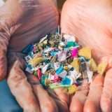 Le microplastiche hanno effetti deleteri sulle cellule