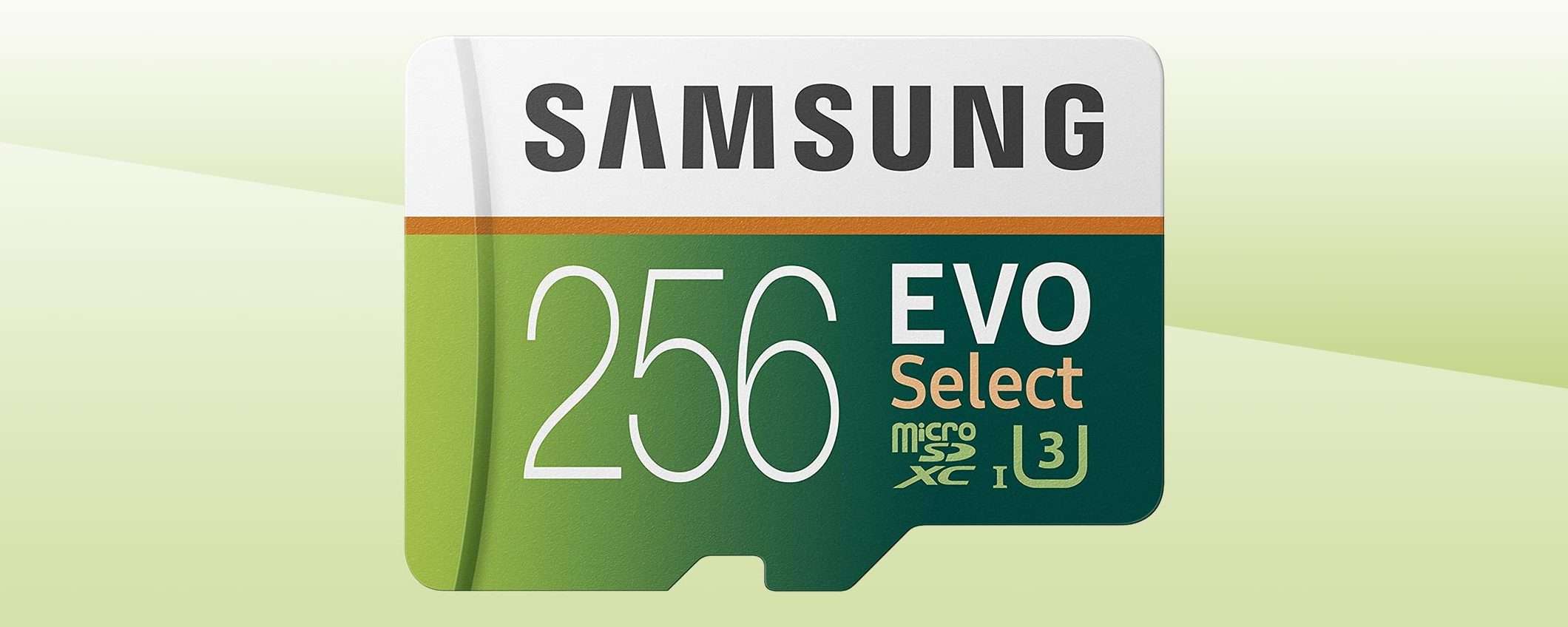 Questa microSD da 256 GB di Samsung costa la metà