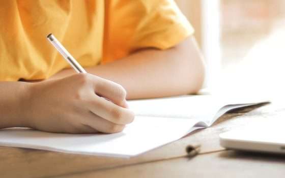 Il sacrificio della scuola, ANP bastona la politica