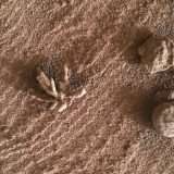 Marte: sembra un fiore, ma è un cristallo minerale