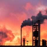 Batteri capaci di ridurre la CO2 producendo materie prime