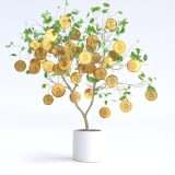 Bitcoin non si trova in un mercato ribassista