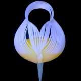 Pinza dalla presa delicata ispirata all'arte del Kirigami