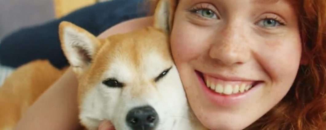 Shiba Inu quotato su Foxbit: il suo prezzo aumenta del 70%