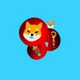 Shiba Inu è la migliore criptovaluta nelle 24 ore