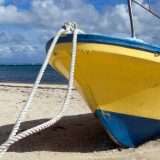 SpaceX Starlink per riconnettere Tonga a Internet