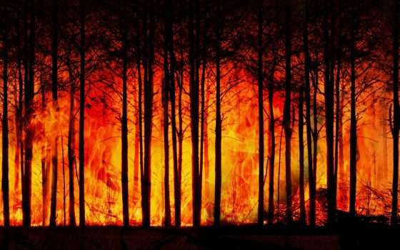 Incendi negli USA: 4 volte più grandi e 3 volte più frequenti