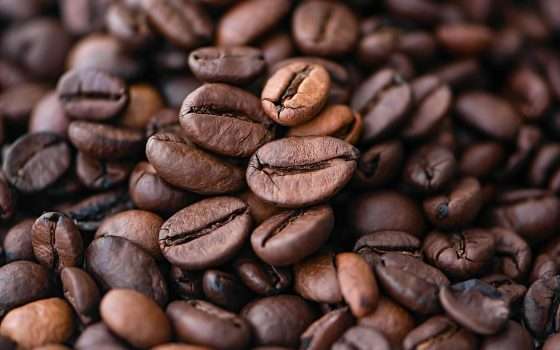 Caffè: gli scarti potrebbero rilevare onde cerebrali