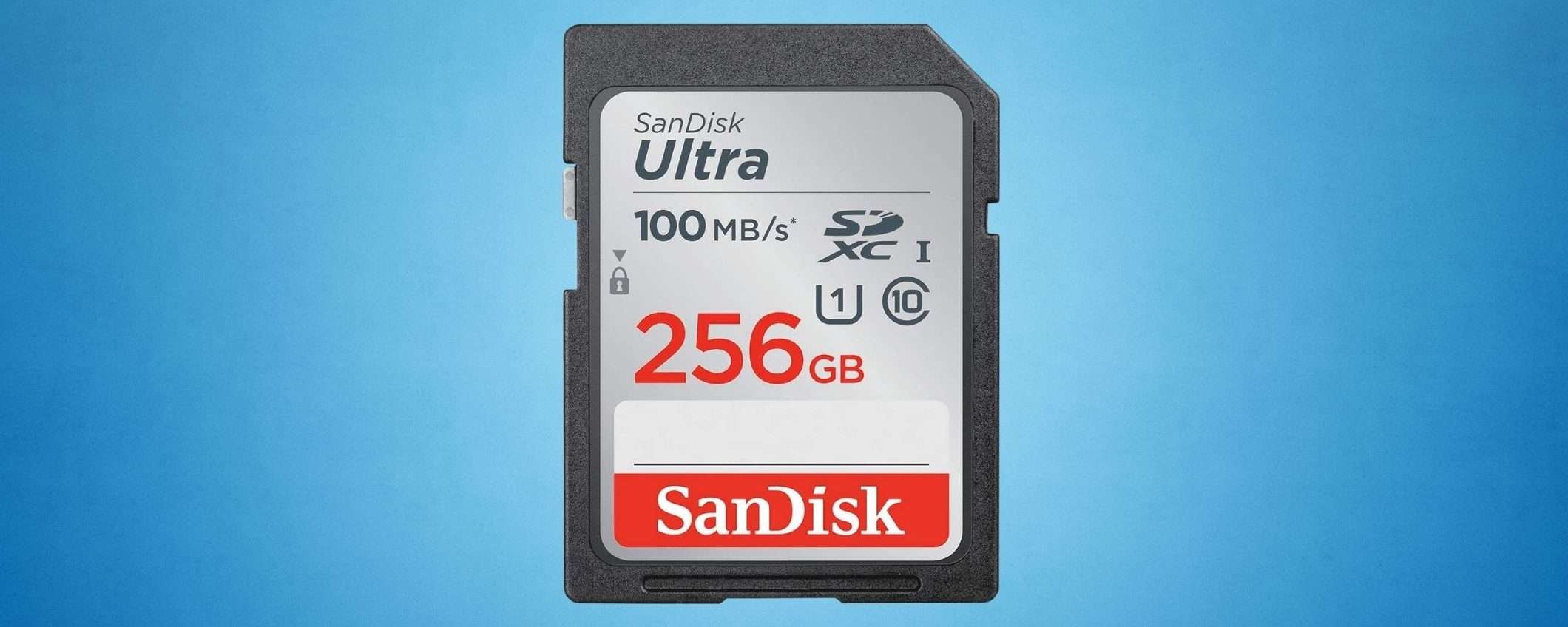 Scheda SD da 256 GB: più spazio per foto e video in super sconto
