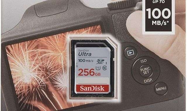 Scheda SD 256 GB offerta