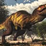 Il T-Rex presto potrebbe venire diviso in tre specie?