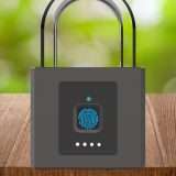 Lucchetto in acciaio: lo sblocchi con un dito, totalmente IMPERMEABILE